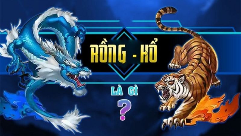 Khái niệm tổng quan về rồng hổ 